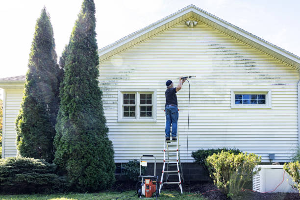 Best Affordable Power Washing  in Iceville, AL
