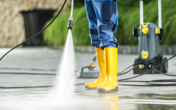 Best Roof Pressure Washing  in Iceville, AL