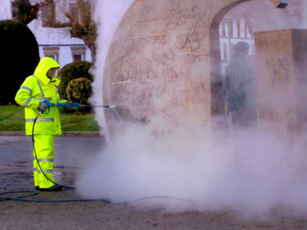 Best Exterior Home Cleaning  in Iceville, AL
