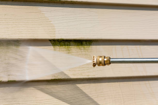 Best Residential Pressure Washing Services  in Iceville, AL