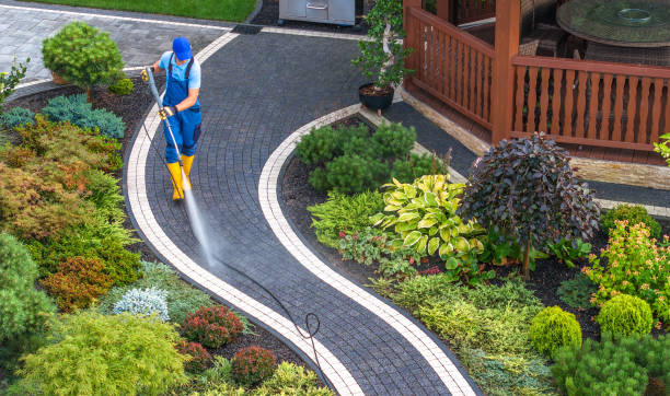 Best Best Pressure Washing Companies  in Iceville, AL