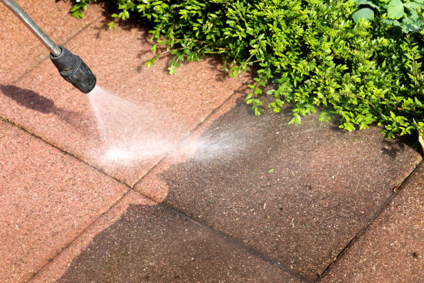 Best Pressure Washing Company Near Me  in Iceville, AL